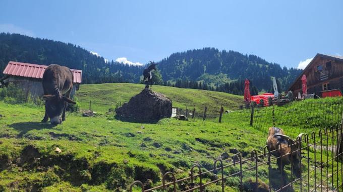 Jausenstation Neuschwand Βίλα Hittisau Εξωτερικό φωτογραφία