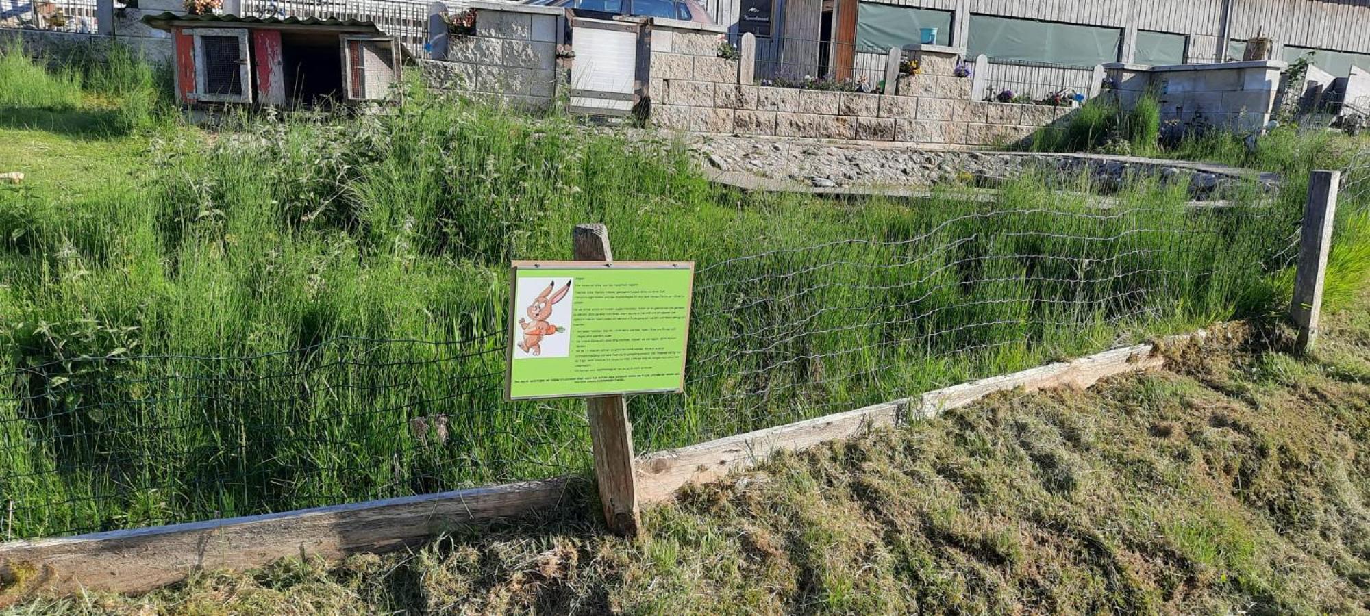 Jausenstation Neuschwand Βίλα Hittisau Εξωτερικό φωτογραφία