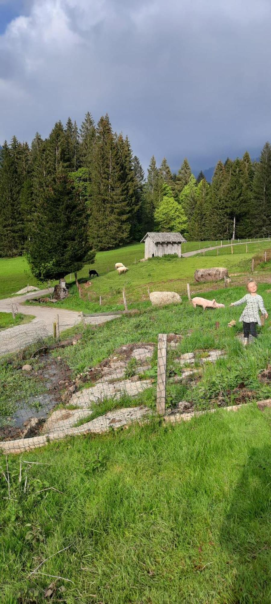 Jausenstation Neuschwand Βίλα Hittisau Εξωτερικό φωτογραφία