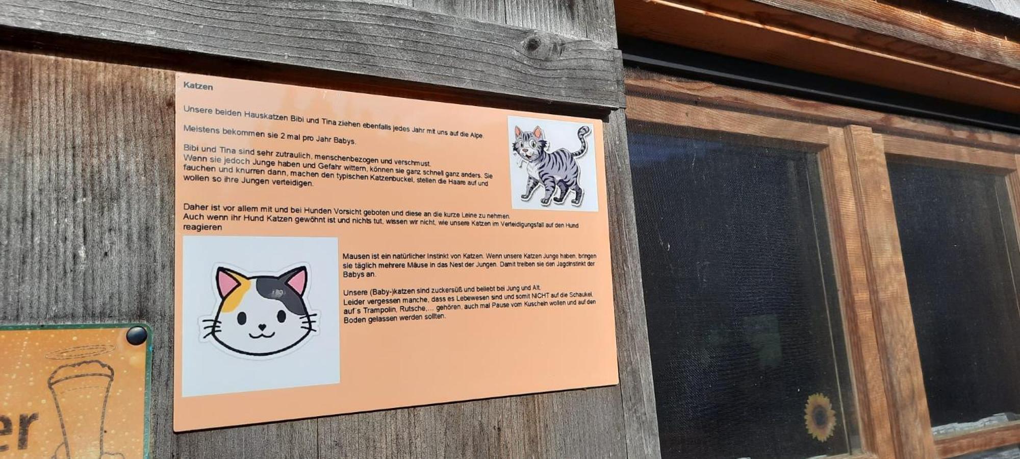 Jausenstation Neuschwand Βίλα Hittisau Εξωτερικό φωτογραφία