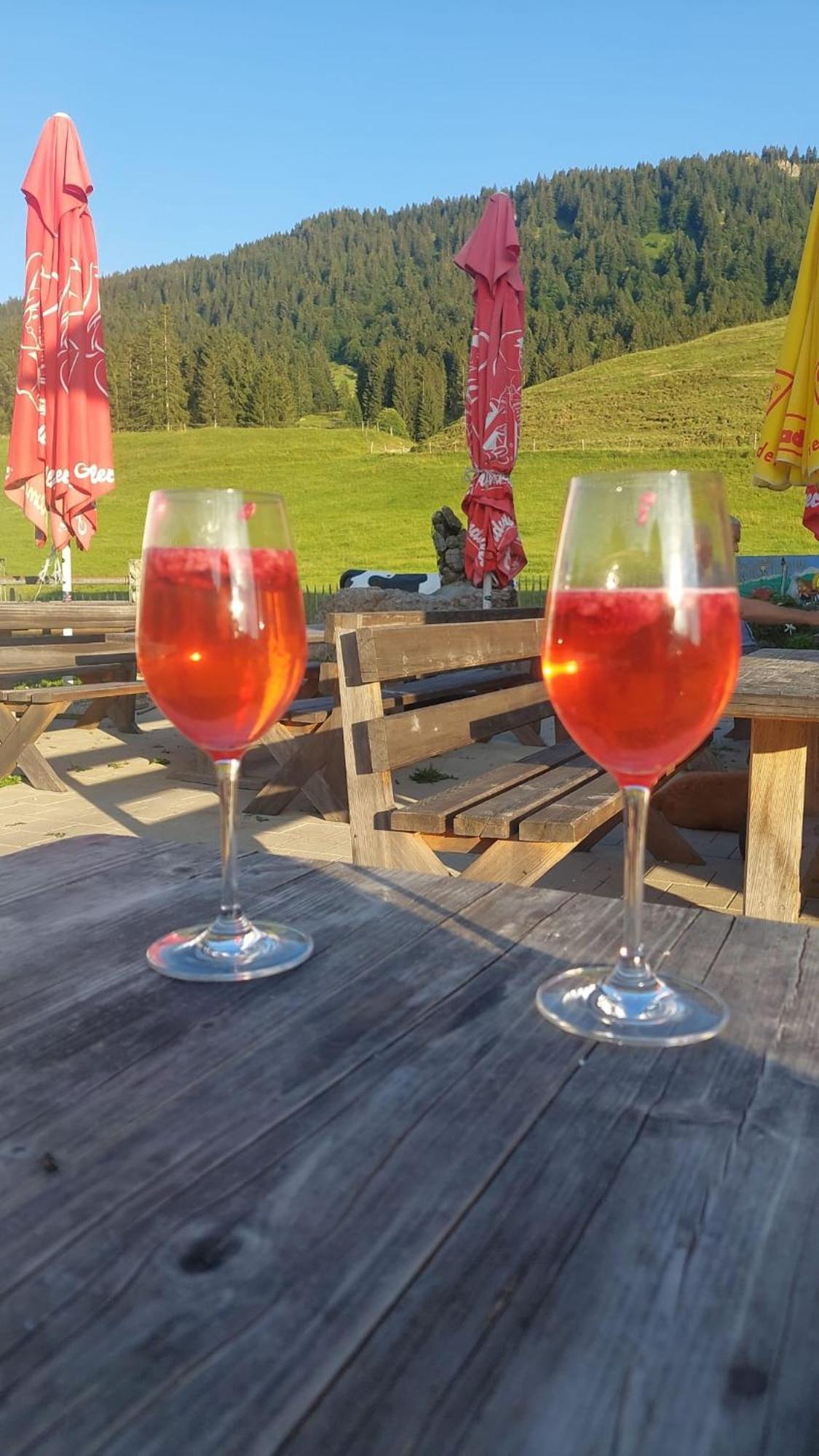Jausenstation Neuschwand Βίλα Hittisau Εξωτερικό φωτογραφία