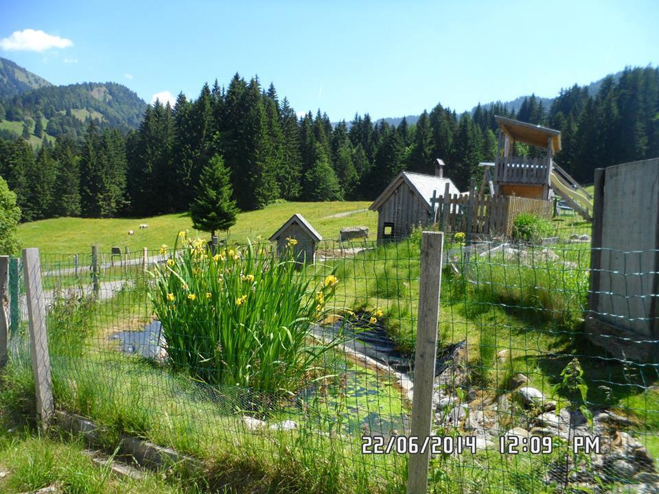 Jausenstation Neuschwand Βίλα Hittisau Εξωτερικό φωτογραφία