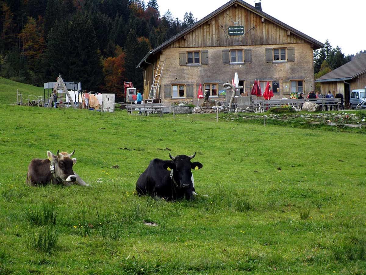 Jausenstation Neuschwand Βίλα Hittisau Εξωτερικό φωτογραφία