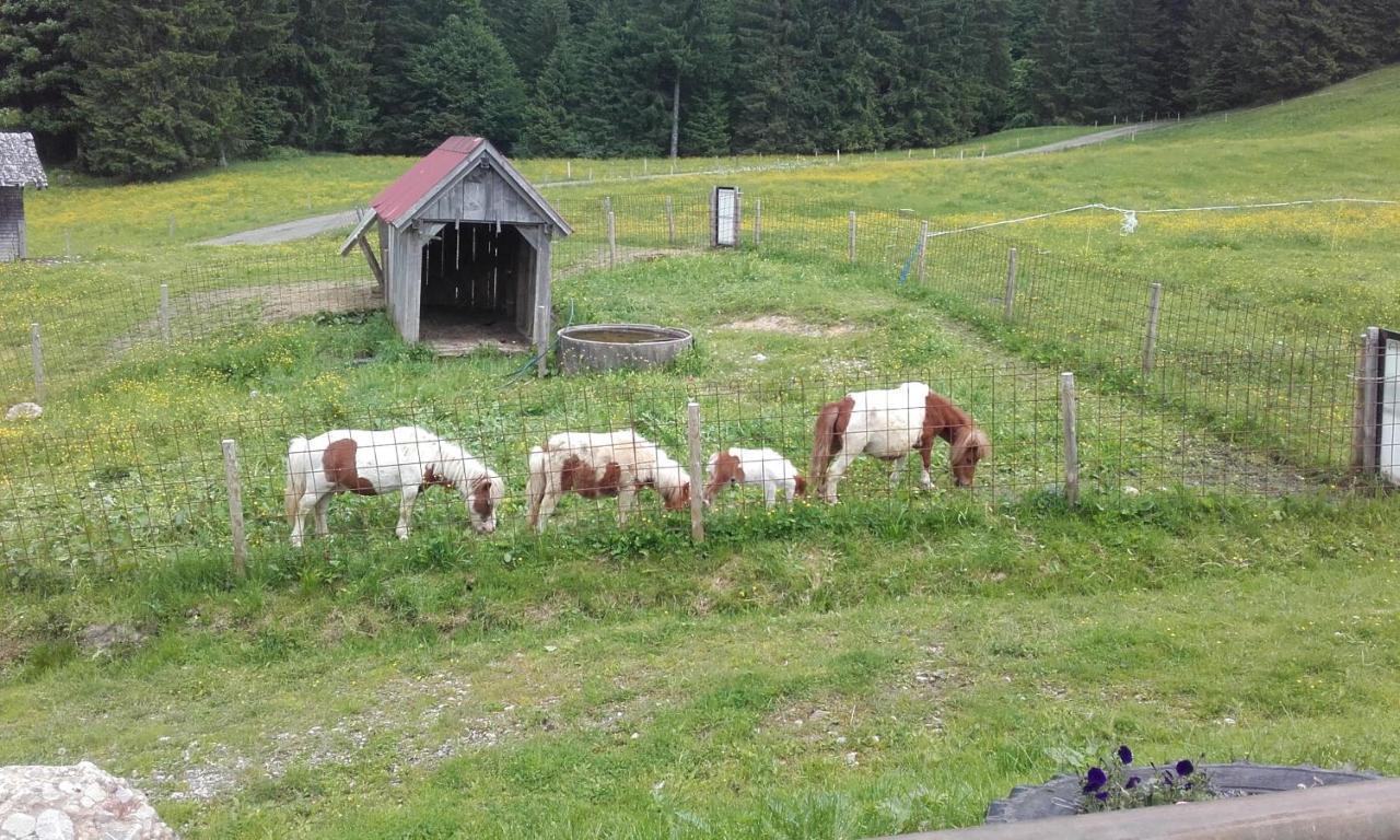 Jausenstation Neuschwand Βίλα Hittisau Εξωτερικό φωτογραφία